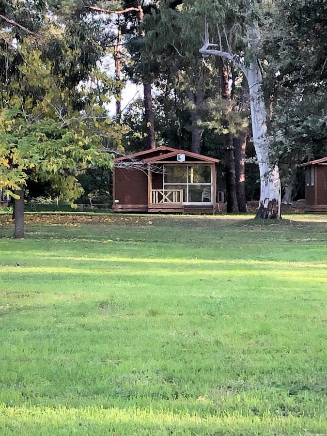 Camping L'Oso Porto-Vecchio  Luaran gambar