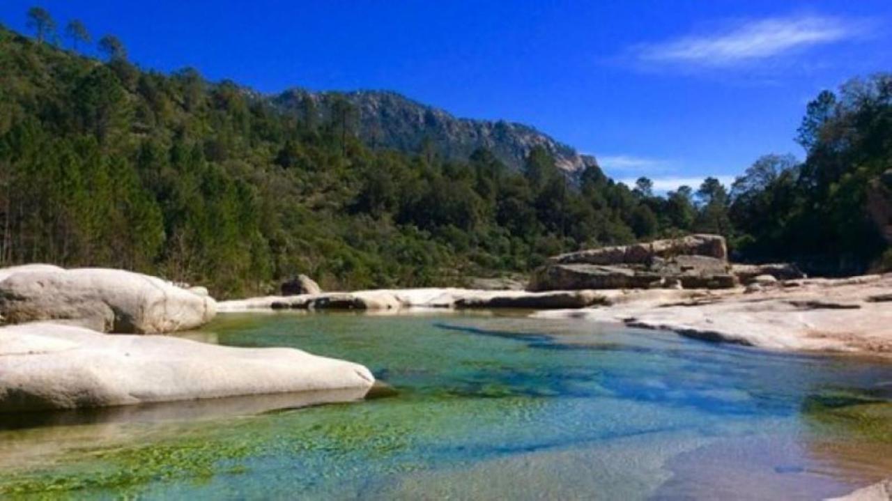 Camping L'Oso Porto-Vecchio  Luaran gambar