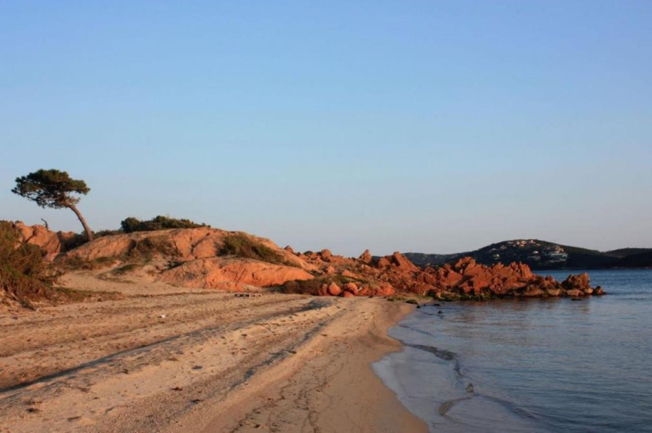 Camping L'Oso Porto-Vecchio  Luaran gambar