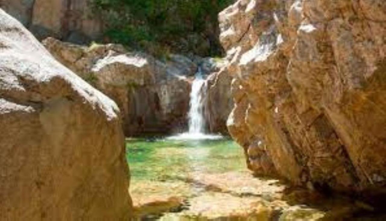 Camping L'Oso Porto-Vecchio  Luaran gambar
